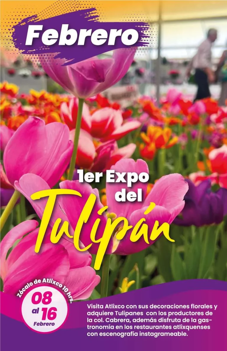 Agenda_Digital_page-0004