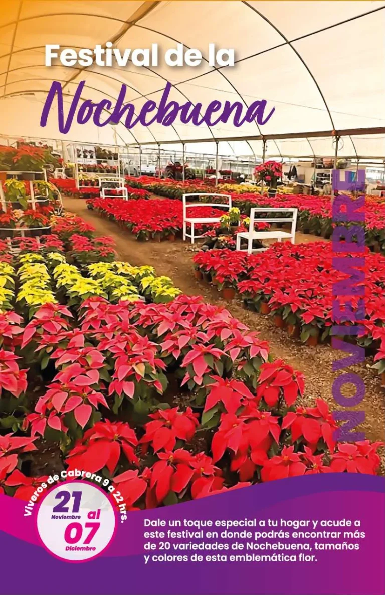 Agenda_Digital_page-0039